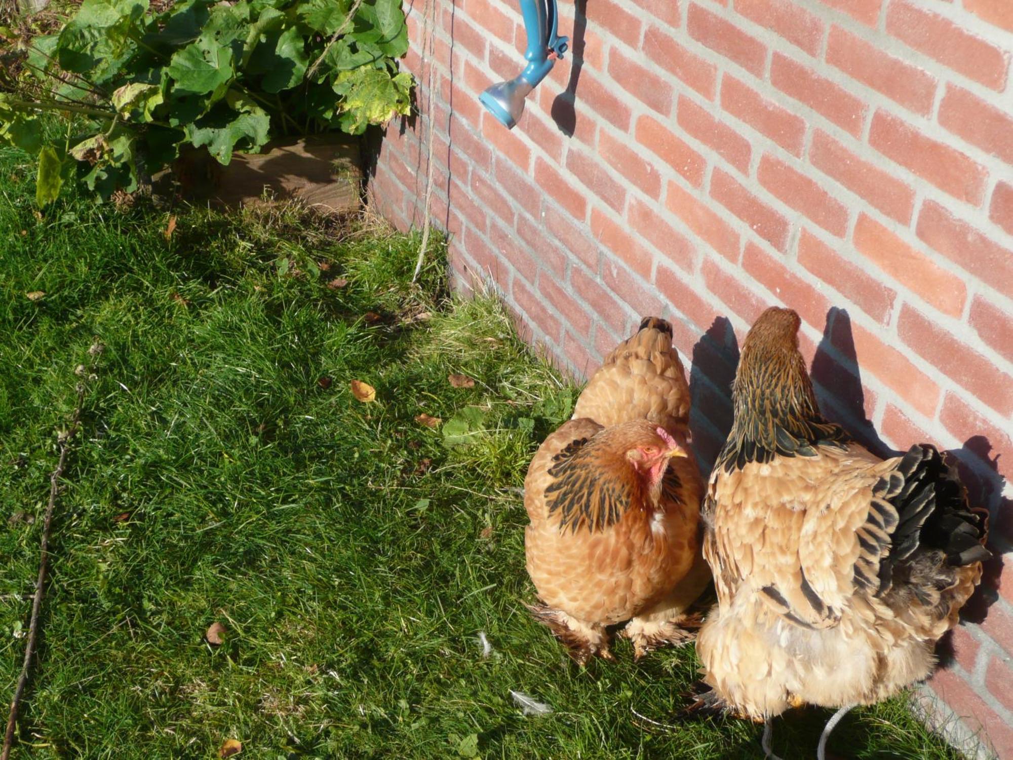 Bed and Breakfast Slaopen En Stoet Anderen Zewnętrze zdjęcie